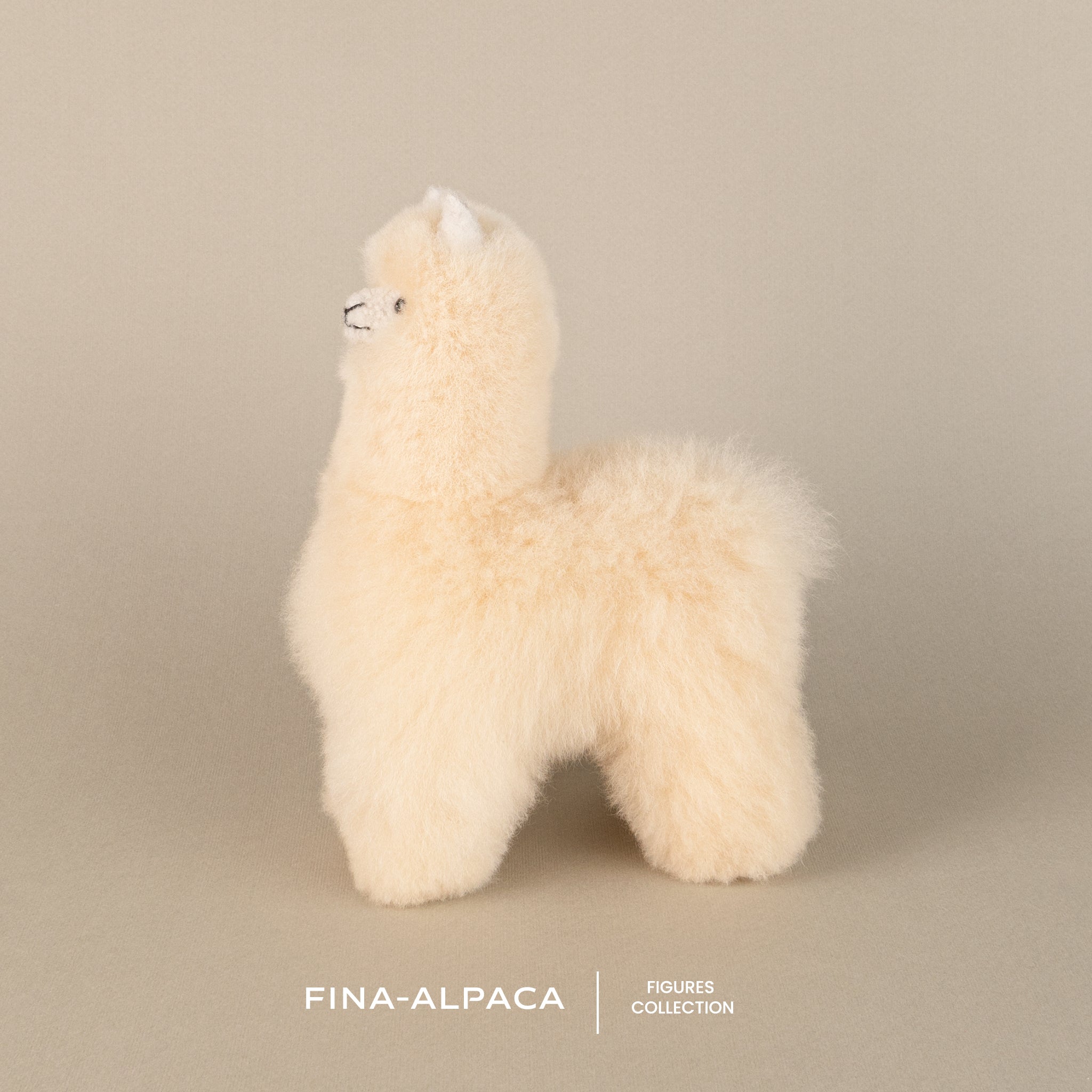 Rogelio Alpaca Fina-Alpaca